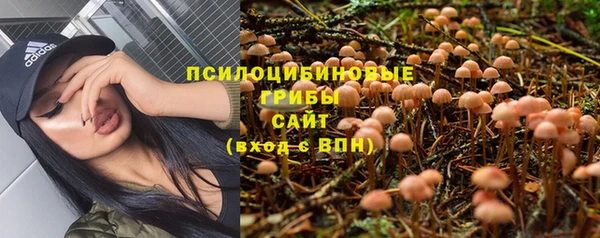 герыч Яровое