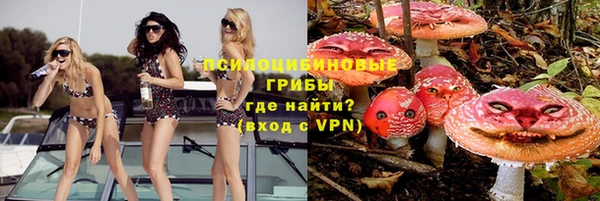 гидра Яранск