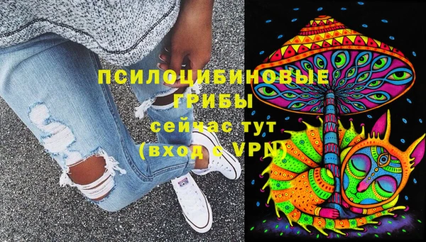 mdma Устюжна