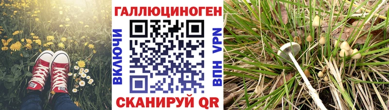 ссылка на мегу как зайти  Обнинск  Псилоцибиновые грибы MAGIC MUSHROOMS 