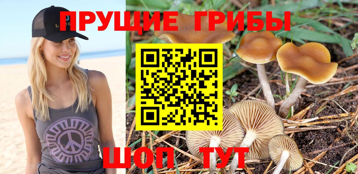 Обнинск  Галлюциногенные грибы GOLDEN TEACHER  Вход с VPN 