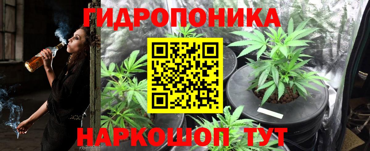 Бошки Шишки семена Обнинск